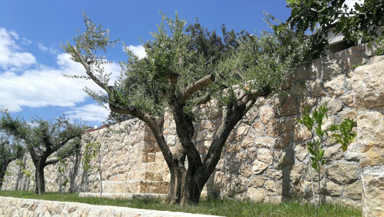 Apartmani Goga Starigrad Exterior photo