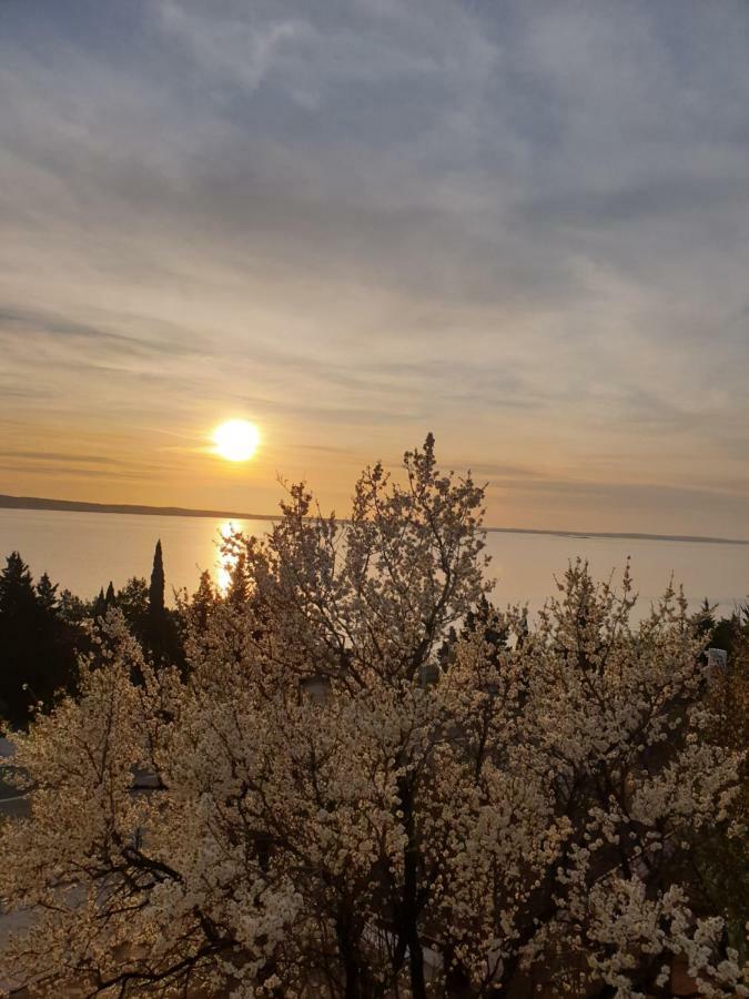 Apartmani Goga Starigrad Exterior photo